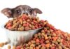 So Many Pet Foods – How to Choose?