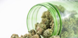 City Evaluates Changes to Marijuana Business Regulations