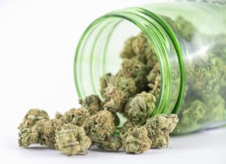 City Evaluates Changes to Marijuana Business Regulations