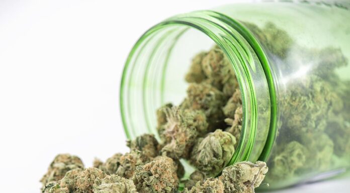 City Evaluates Changes to Marijuana Business Regulations