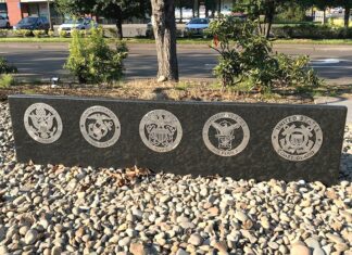 Scouts Complete Eagle Projects