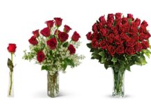 How to Get Google to Guide Customers to You for Free!