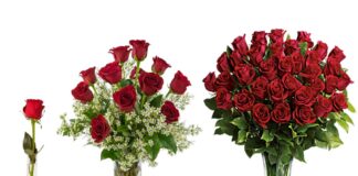 How to Get Google to Guide Customers to You for Free!