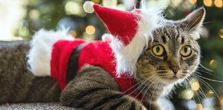 Winter Events to Keep Us Connected