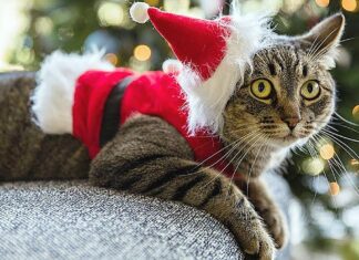 Winter Events to Keep Us Connected