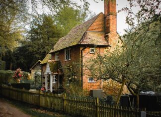 The Cottage Industry You Need to Avoid!