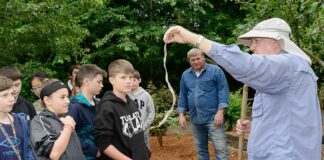 Living Legends: Larry McClure