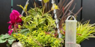 Garden Crimes: Fraud in the Garden