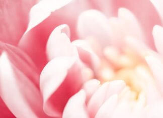 Your Foundations for Health