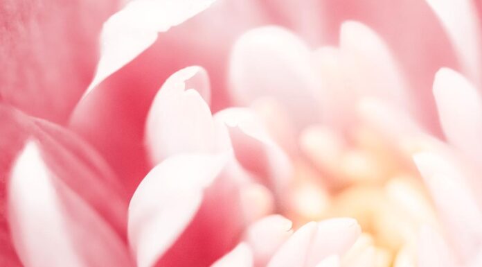 Your Foundations for Health