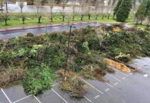 Tualatin Sees Large Winter Storm Cleanup Effort