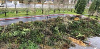 Tualatin Sees Large Winter Storm Cleanup Effort