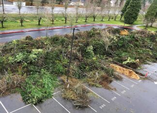 Tualatin Sees Large Winter Storm Cleanup Effort