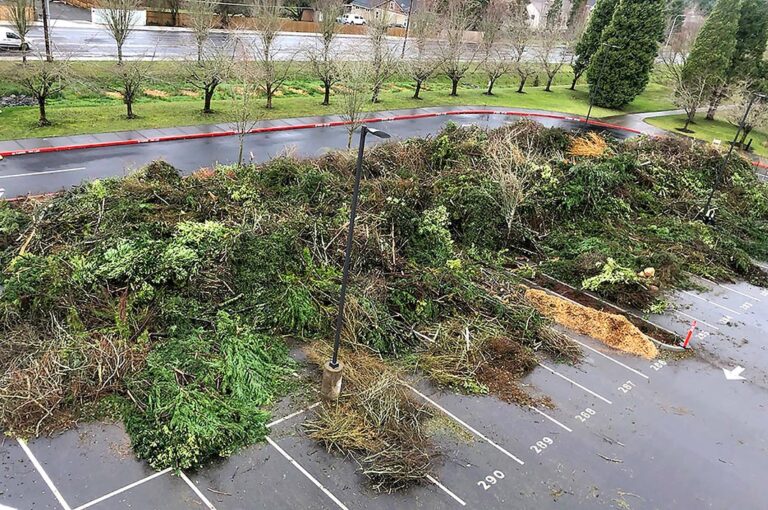 Tualatin Sees Large Winter Storm Cleanup Effort