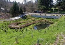 Showing, Rather than Telling the Story of Stormwater