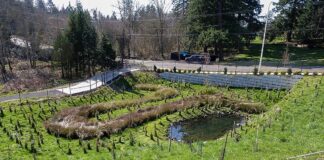 Showing, Rather than Telling the Story of Stormwater