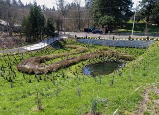 Showing, Rather than Telling the Story of Stormwater