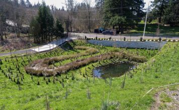 Showing, Rather than Telling the Story of Stormwater