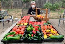 Friends Seeking Friends in the Garden