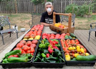 Friends Seeking Friends in the Garden