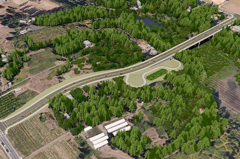 Basalt Creek Parkway Plan Raises Questions