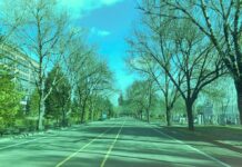 City Finances Remain Sound Heading into New Fiscal Year