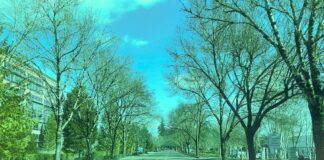 City Finances Remain Sound Heading into New Fiscal Year