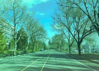 City Finances Remain Sound Heading into New Fiscal Year