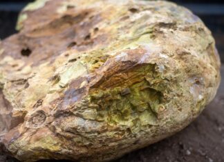 Tualatin Heritage Center receives Ice Age Erratic