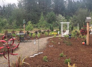 Rotary Fosters a Farm