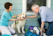 Prepare your pets for disasters