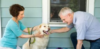 Prepare your pets for disasters