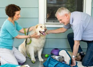 Prepare your pets for disasters