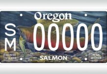 A new salmon plate design will be on the road September 1st, with limited time left to purchase classic salmon plate design