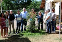 Jack Broome memorialized with redwood in Brown’s Ferry Park