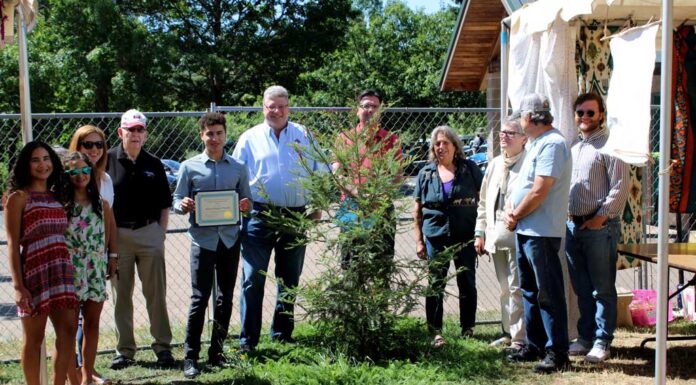 Jack Broome memorialized with redwood in Brown’s Ferry Park