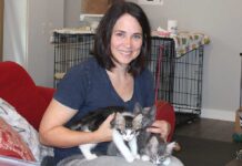 Nine Lives and Counting… Jennifer Bosket