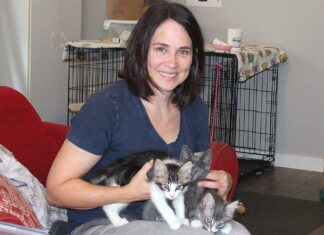 Nine Lives and Counting… Jennifer Bosket