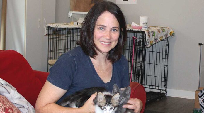 Nine Lives and Counting… Jennifer Bosket