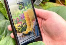 Zero to 60 in One Season