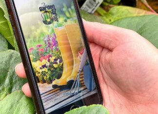 Zero to 60 in One Season