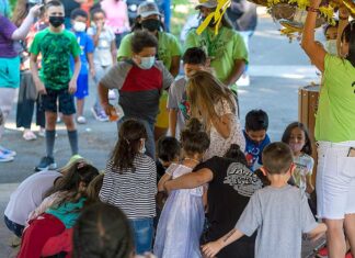 Council moves toward creation of equity committee