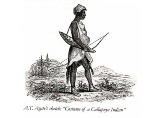 The Atfalati of the Tualatin Valley A.T. Agate’s popularly used sketch depicts a Kalpuyan hunter.