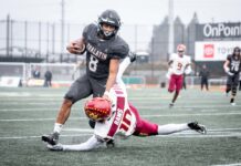 Timberwolves football takes second in 6A state championship