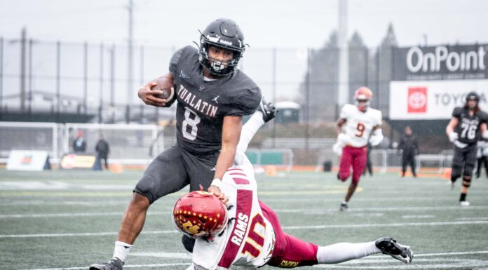 Timberwolves football takes second in 6A state championship