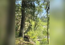 Basalt Creek Parks Plan the centerpiece of future Tualatin development district Basalt Creek area.