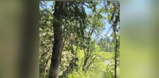 Basalt Creek Parks Plan the centerpiece of future Tualatin development district Basalt Creek area.