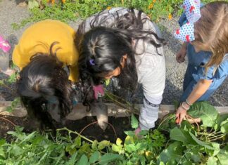 Bridgeport Elementary Community Garden