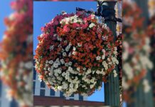 The Early Bird gets the Pre-Order