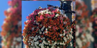 The Early Bird gets the Pre-Order